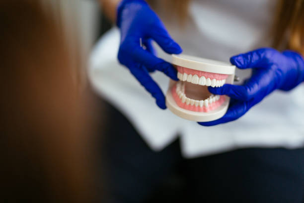 Botkins, OH Holistic Dental Care Services Company